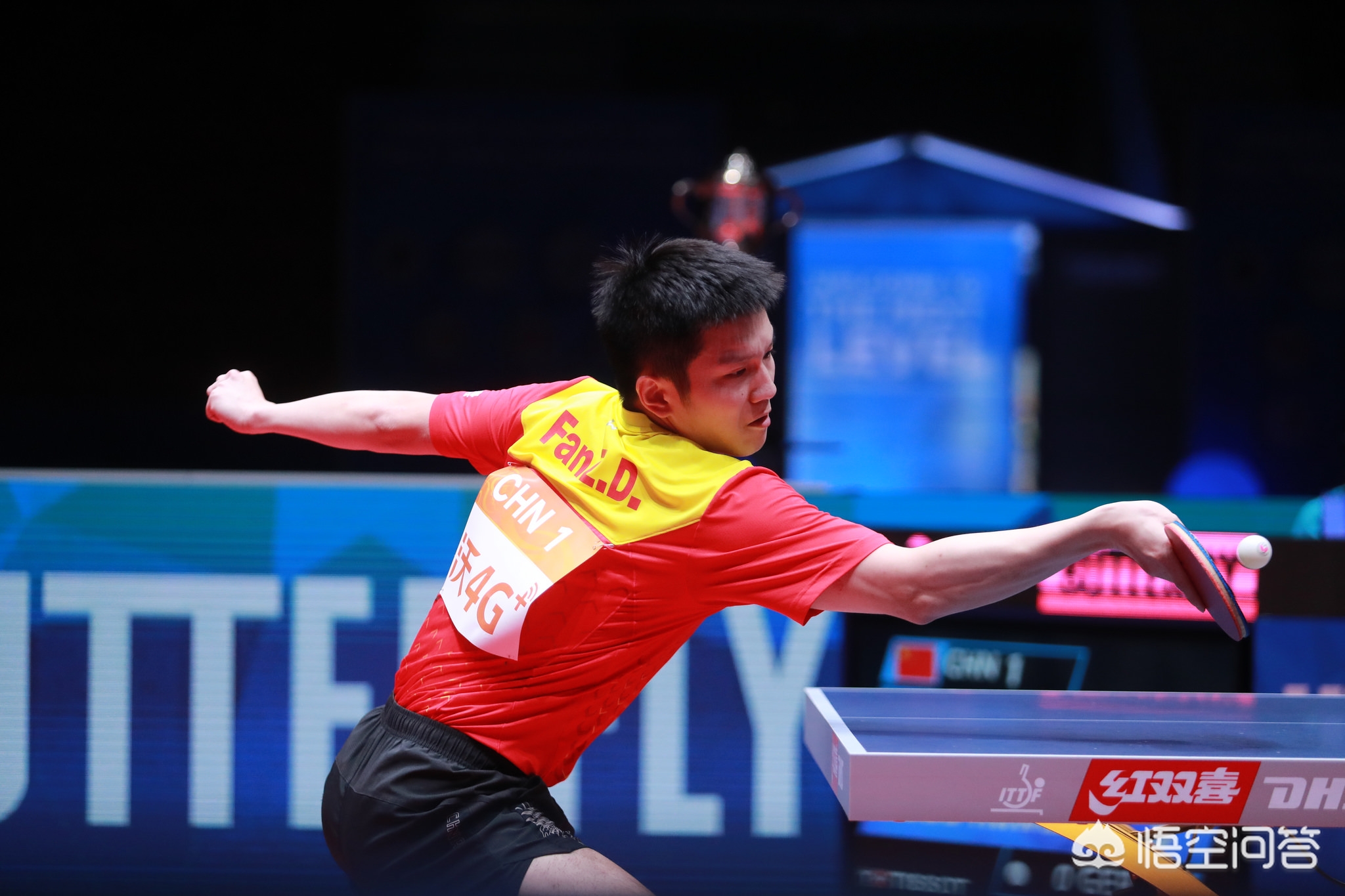 少其在决策 少其在决策